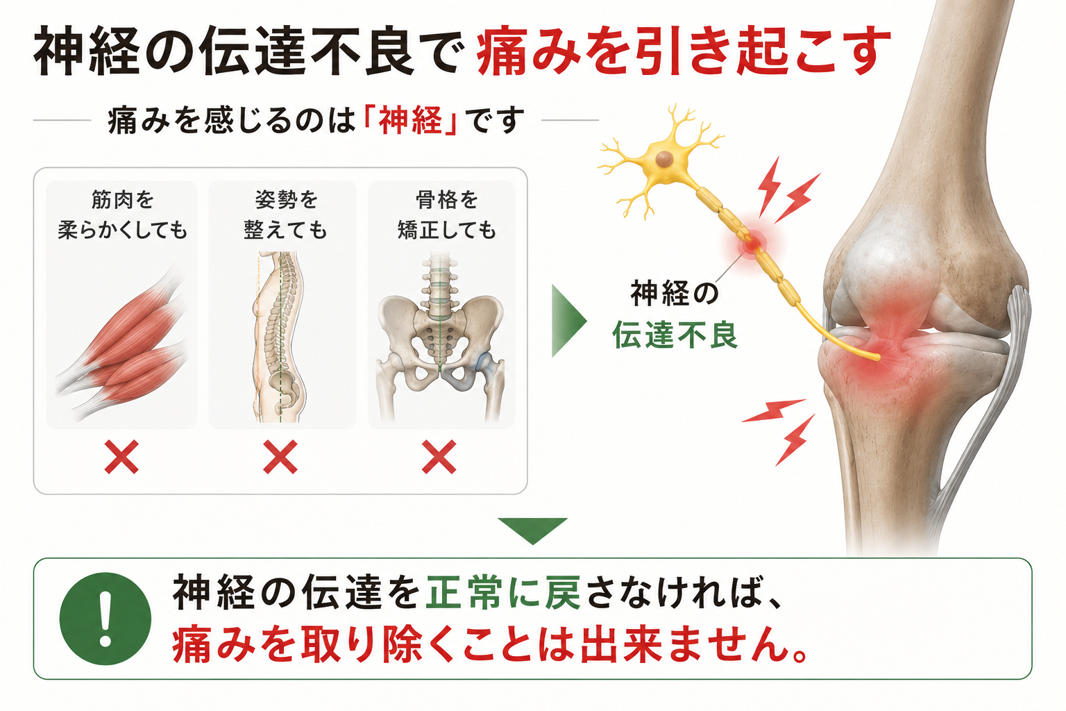 神経の伝達不良が起こると痛みを引き起こす解説画像