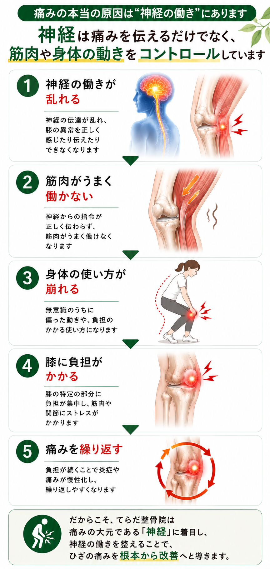 （スマホ用）神経は痛みを伝えるだけでなく筋肉や身体の動きをコントロールする役割もある解説画像