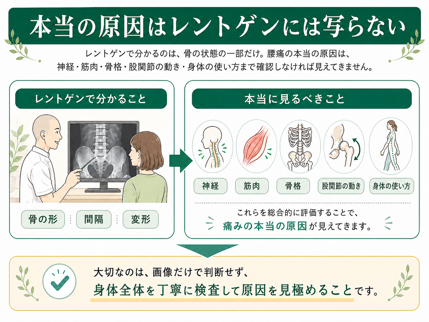 （パソコン用画像）本当の原因はレントゲンには写らない解説画像
