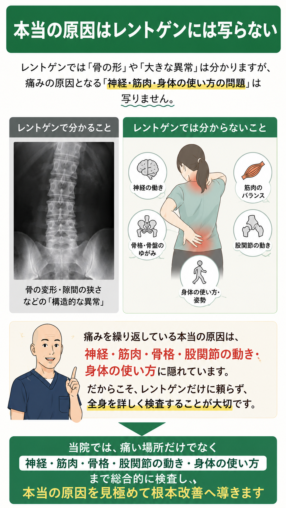 （パソコン用画像）本当の原因はレントゲンには写らない解説画像
