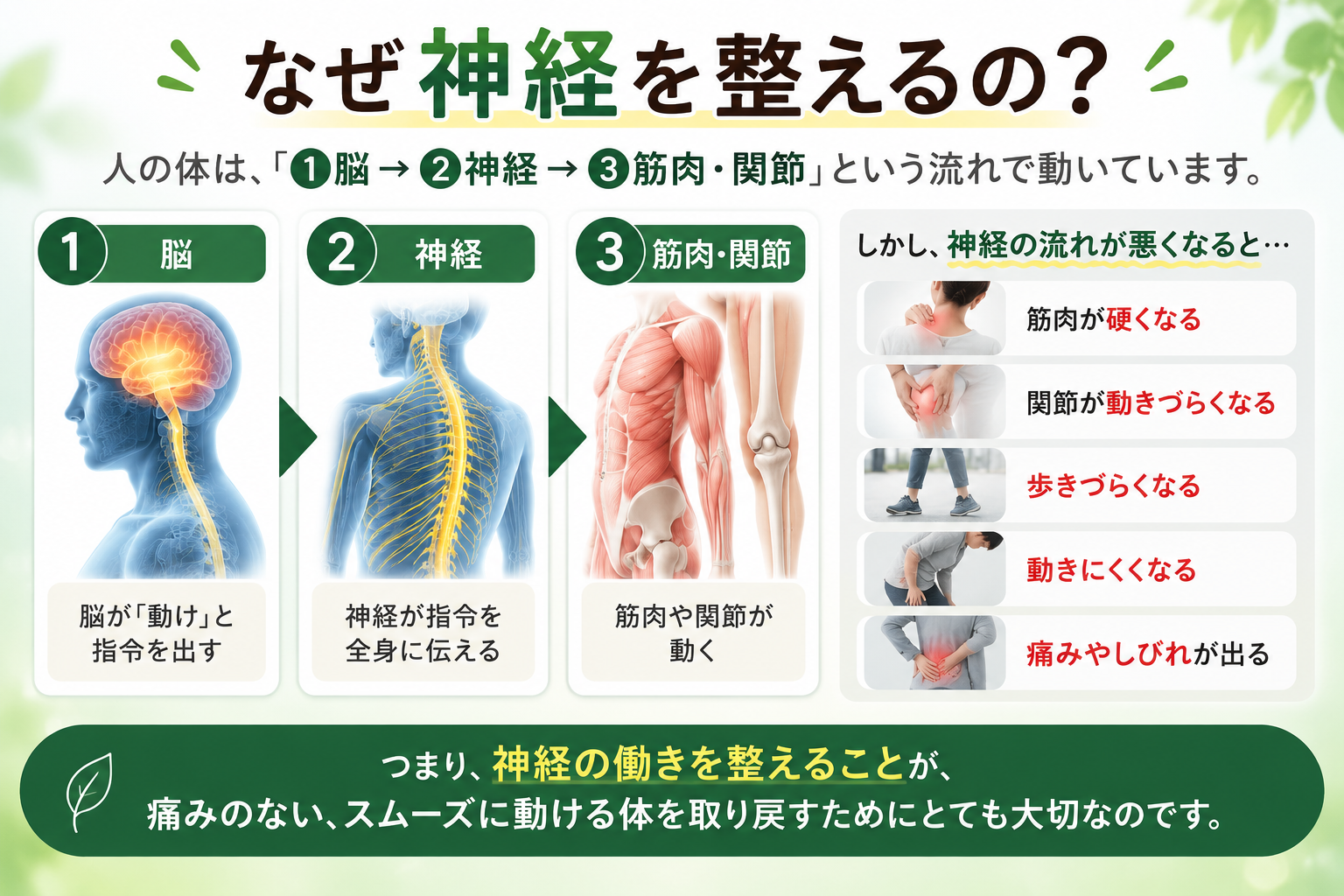 (パソコン用)痛みやしびれ神経から整える神経整体の解説画像