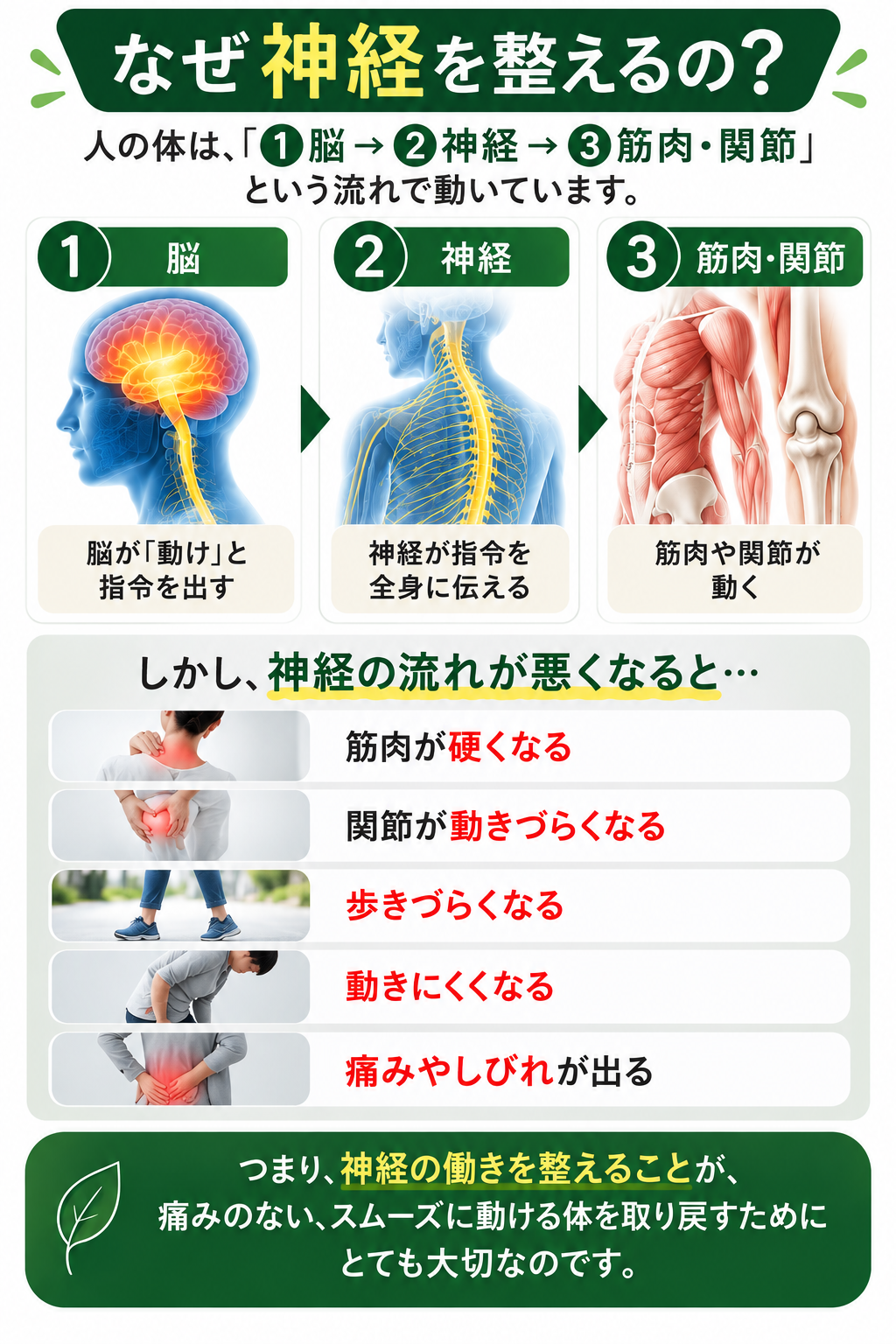 (スマホ用)痛みやしびれ神経から整える神経整体の解説画像