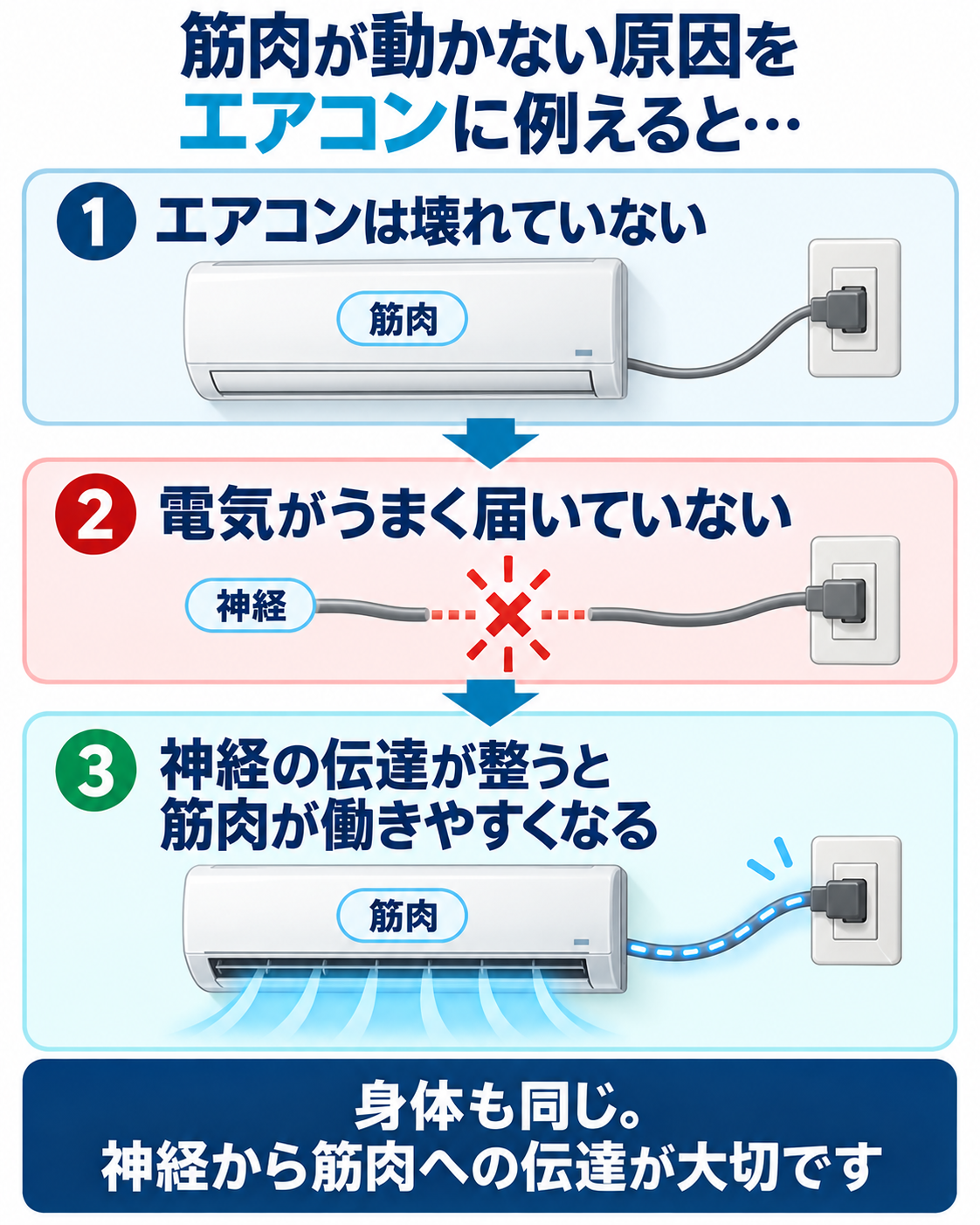 人間の筋肉をエアコンに例えた解説画像